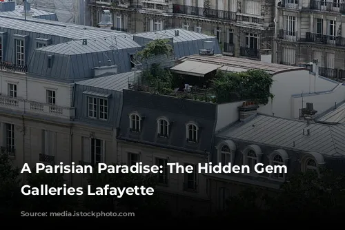 A Parisian Paradise: The Hidden Gem of Galleries Lafayette