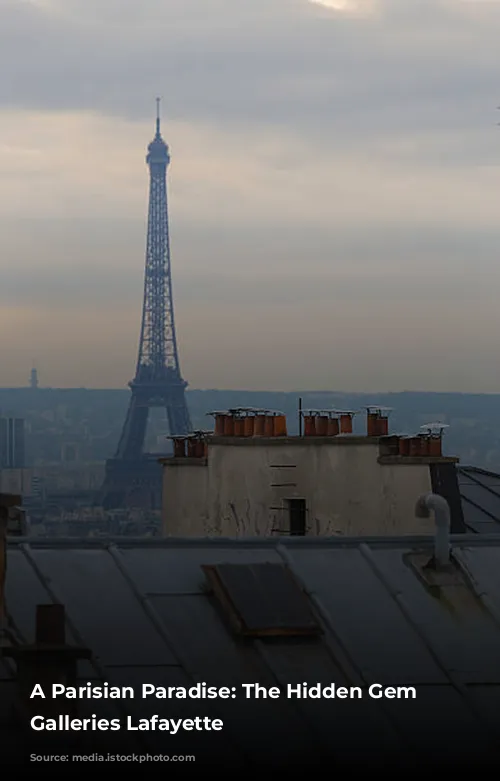 A Parisian Paradise: The Hidden Gem of Galleries Lafayette