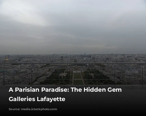 A Parisian Paradise: The Hidden Gem of Galleries Lafayette