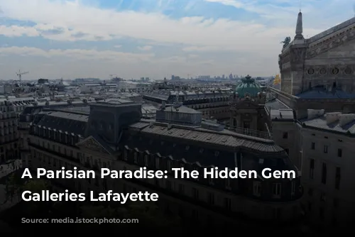 A Parisian Paradise: The Hidden Gem of Galleries Lafayette