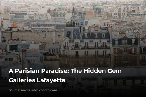 A Parisian Paradise: The Hidden Gem of Galleries Lafayette