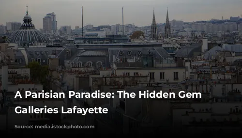 A Parisian Paradise: The Hidden Gem of Galleries Lafayette