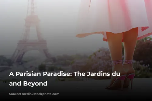 A Parisian Paradise: The Jardins du Trocadéro and Beyond