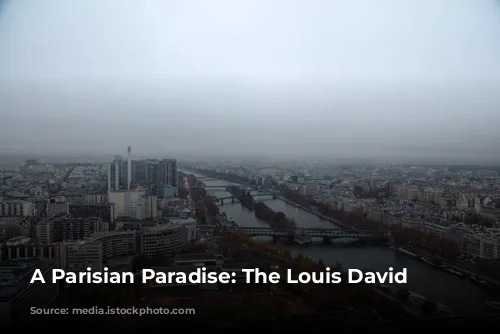 A Parisian Paradise: The Louis David Penthouse