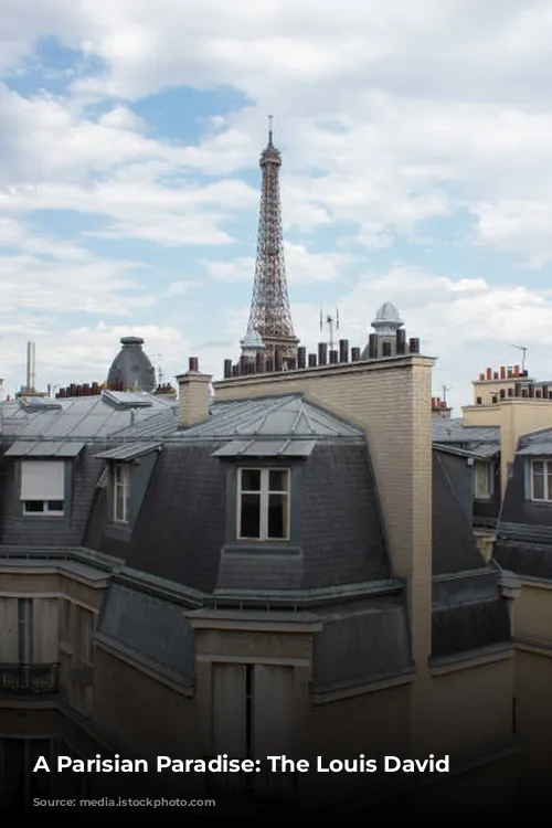 A Parisian Paradise: The Louis David Penthouse