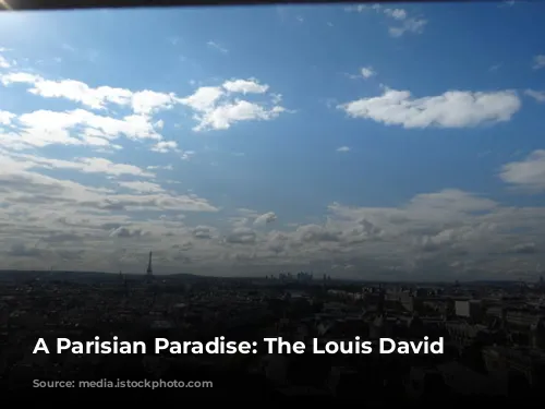 A Parisian Paradise: The Louis David Penthouse