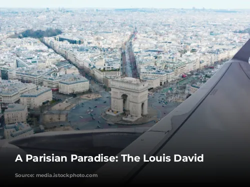 A Parisian Paradise: The Louis David Penthouse