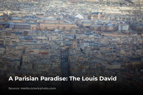 A Parisian Paradise: The Louis David Penthouse