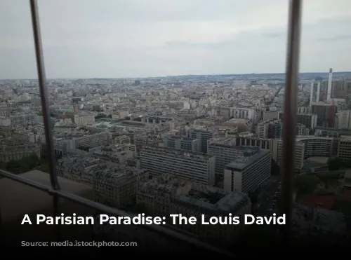 A Parisian Paradise: The Louis David Penthouse