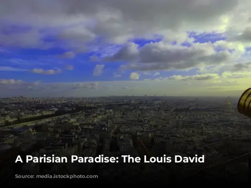 A Parisian Paradise: The Louis David Penthouse