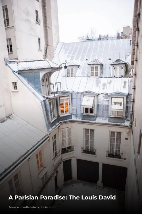 A Parisian Paradise: The Louis David Penthouse