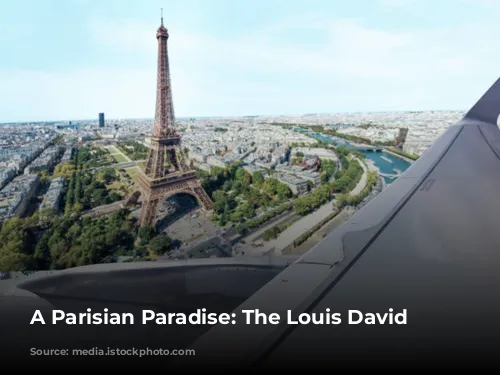 A Parisian Paradise: The Louis David Penthouse