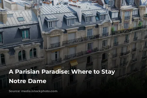 A Parisian Paradise: Where to Stay Near Notre Dame