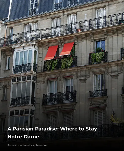 A Parisian Paradise: Where to Stay Near Notre Dame