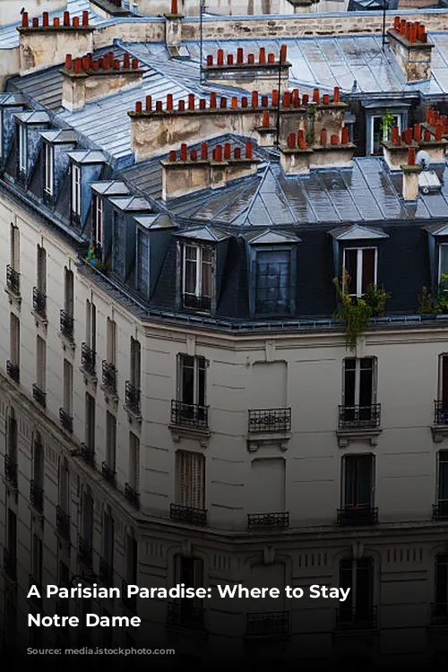 A Parisian Paradise: Where to Stay Near Notre Dame