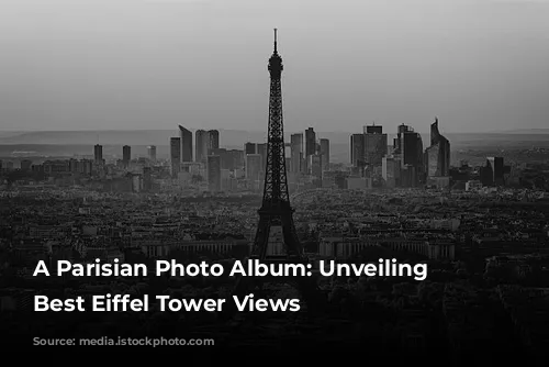 A Parisian Photo Album: Unveiling the Best Eiffel Tower Views