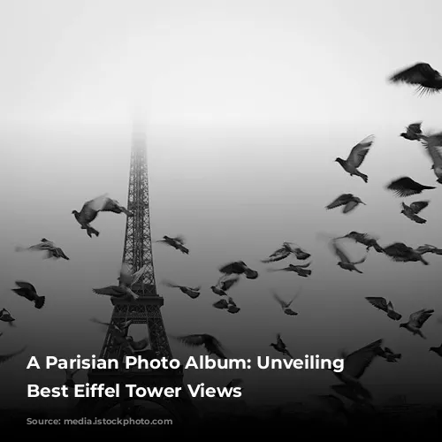 A Parisian Photo Album: Unveiling the Best Eiffel Tower Views