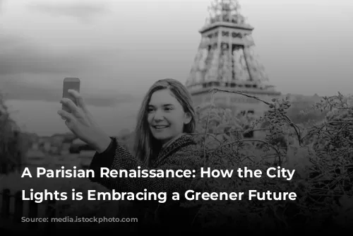 A Parisian Renaissance: How the City of Lights is Embracing a Greener Future