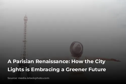 A Parisian Renaissance: How the City of Lights is Embracing a Greener Future