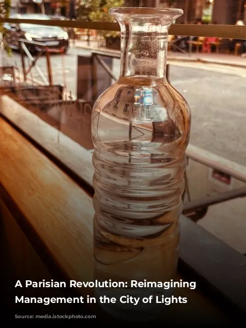 A Parisian Revolution: Reimagining Water Management in the City of Lights