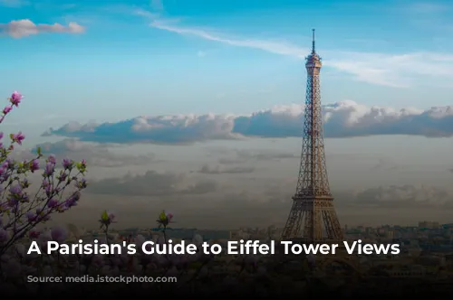  A Parisian's Guide to Eiffel Tower Views 