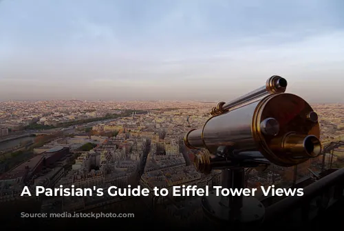  A Parisian's Guide to Eiffel Tower Views 