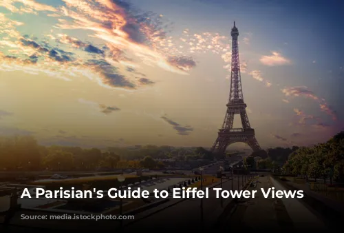  A Parisian's Guide to Eiffel Tower Views 