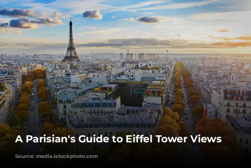  A Parisian's Guide to Eiffel Tower Views 