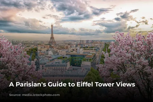  A Parisian's Guide to Eiffel Tower Views 