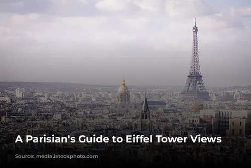  A Parisian's Guide to Eiffel Tower Views 