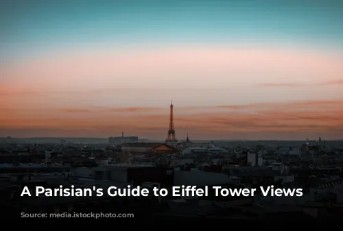  A Parisian's Guide to Eiffel Tower Views 