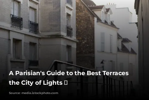 A Parisian's Guide to the Best Terraces in the City of Lights ✨