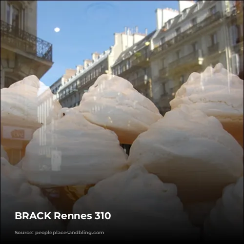 BRACK Rennes 310