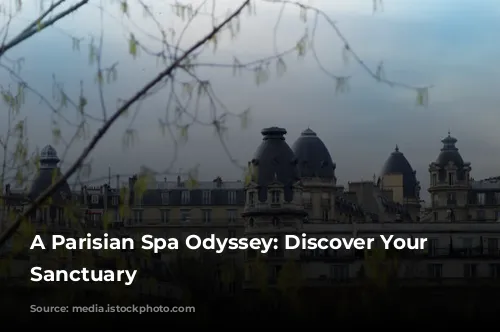 A Parisian Spa Odyssey: Discover Your Perfect Sanctuary