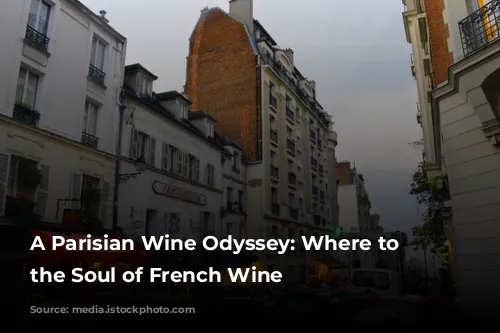 A Parisian Wine Odyssey: Where to Find the Soul of French Wine