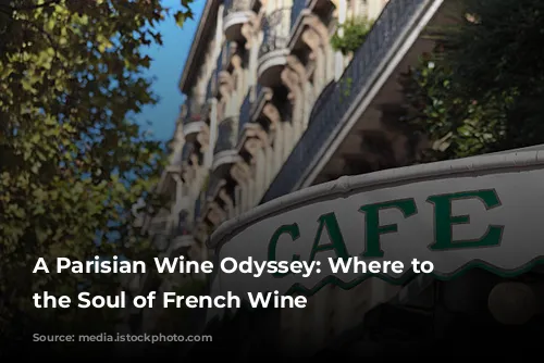 A Parisian Wine Odyssey: Where to Find the Soul of French Wine