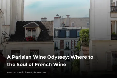 A Parisian Wine Odyssey: Where to Find the Soul of French Wine