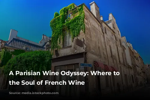 A Parisian Wine Odyssey: Where to Find the Soul of French Wine