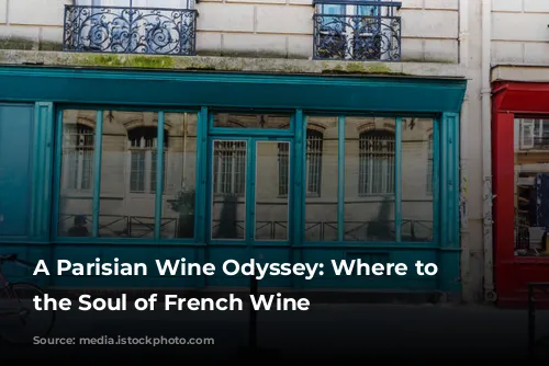 A Parisian Wine Odyssey: Where to Find the Soul of French Wine