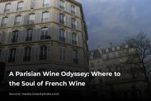 A Parisian Wine Odyssey: Where to Find the Soul of French Wine