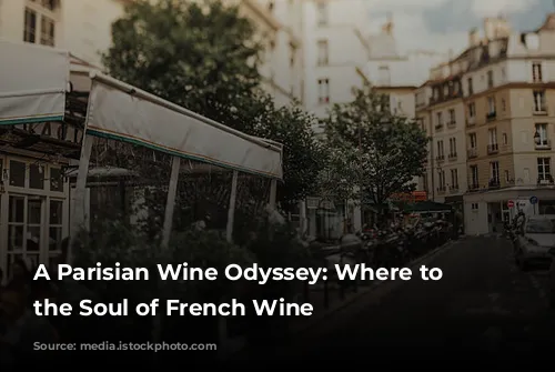 A Parisian Wine Odyssey: Where to Find the Soul of French Wine