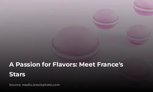 A Passion for Flavors: Meet France's Culinary Stars