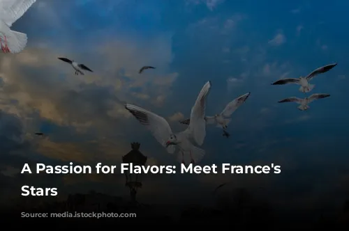 A Passion for Flavors: Meet France's Culinary Stars