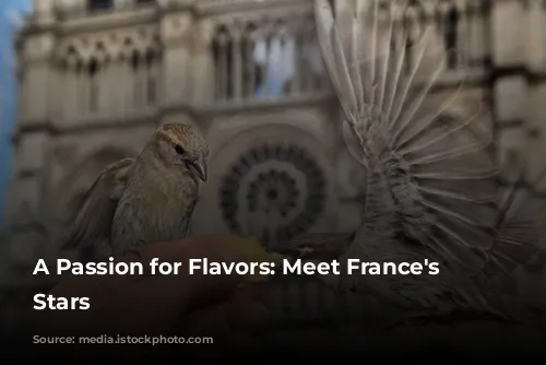 A Passion for Flavors: Meet France's Culinary Stars