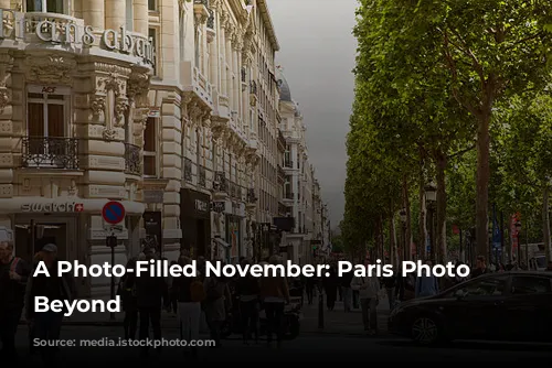 A Photo-Filled November: Paris Photo and Beyond