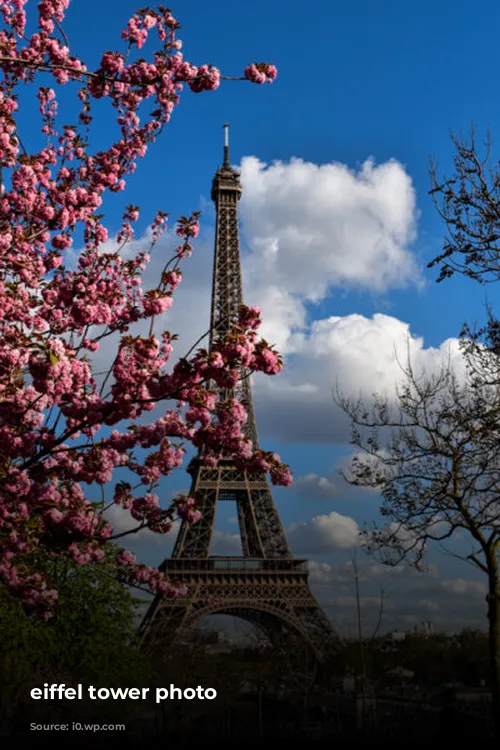 eiffel tower photo