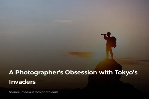 A Photographer's Obsession with Tokyo's Feathered Invaders