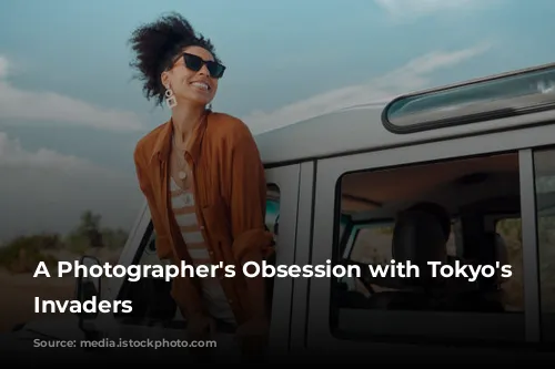 A Photographer's Obsession with Tokyo's Feathered Invaders