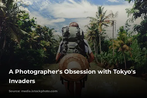 A Photographer's Obsession with Tokyo's Feathered Invaders