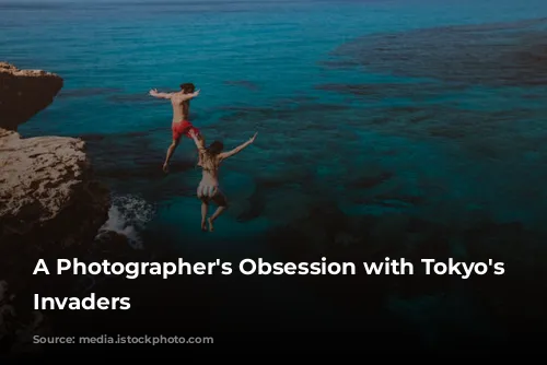 A Photographer's Obsession with Tokyo's Feathered Invaders